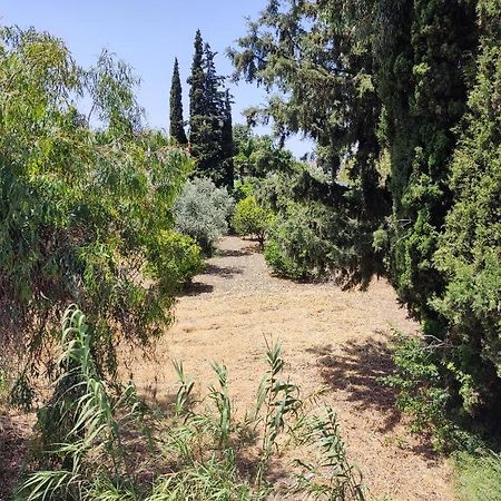 Callas Residence إياليسوس المظهر الخارجي الصورة