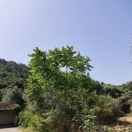 Callas Residence إياليسوس المظهر الخارجي الصورة